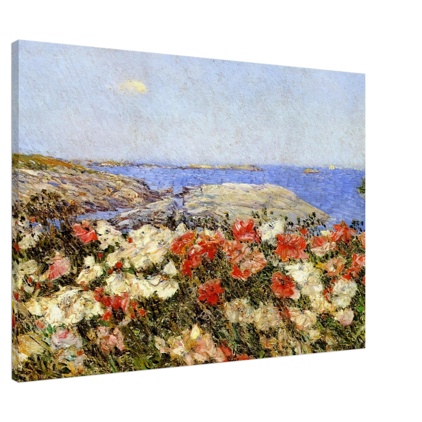 Childe Hassam - Poppies on the Isles of Shoals Canvas - 20x30 cm / 8x12 inches-canvas