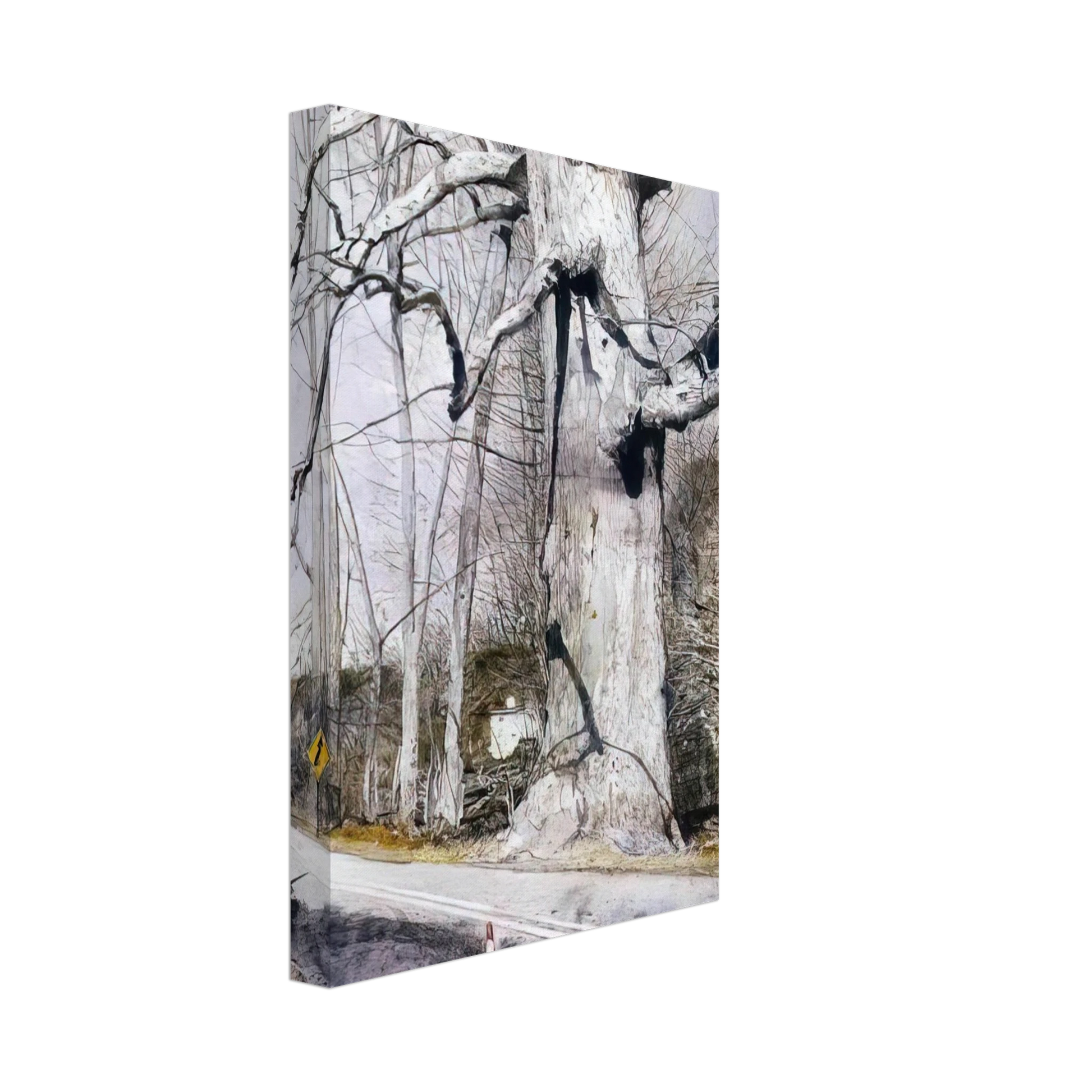 Andrew Wyeth - WALKING STICK Canvas - 70x100 cm / 28x40 inches-canvas