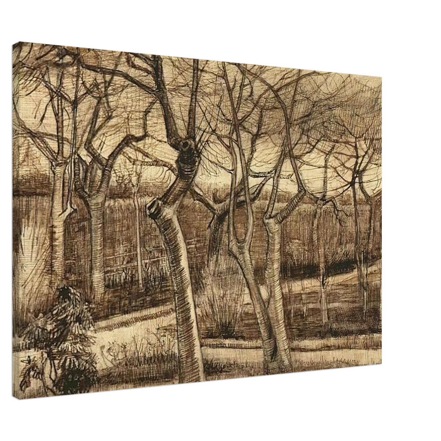 Vincent van Gogh - The Vicarage Garden Canvas - 20x30 cm / 8x12 inches-canvas