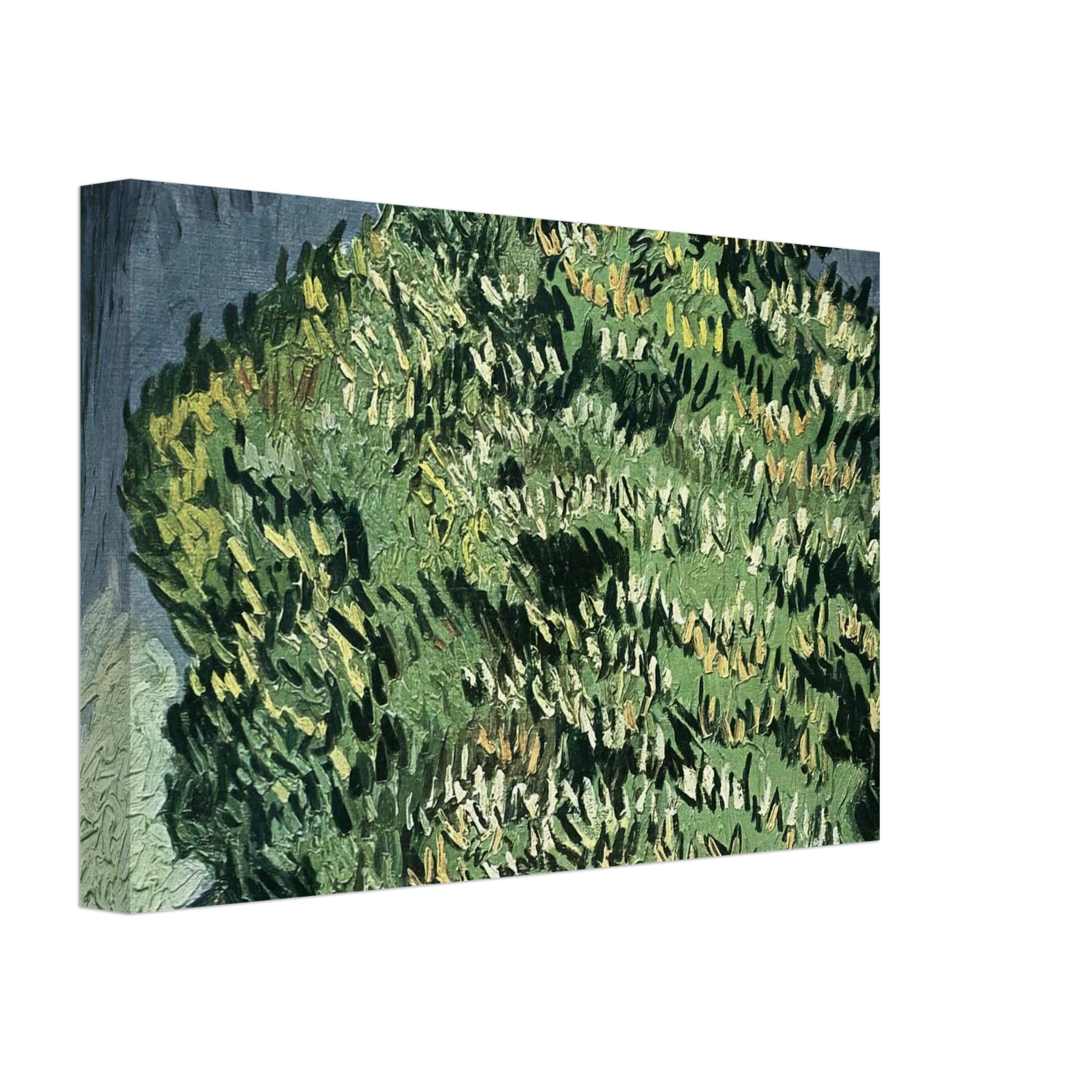 Vincent van Gogh - Chestnut Trees in Blossom Canvas - 70x100 cm / 28x40 inches-canvas