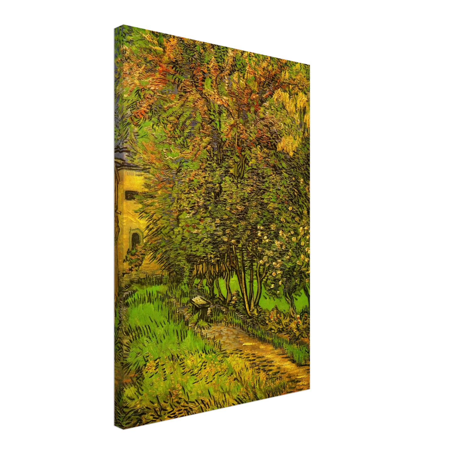 Vincent van Gogh - The Garden of Saint-Paul Hospital Canvas - 70x100 cm / 28x40 inches-canvas