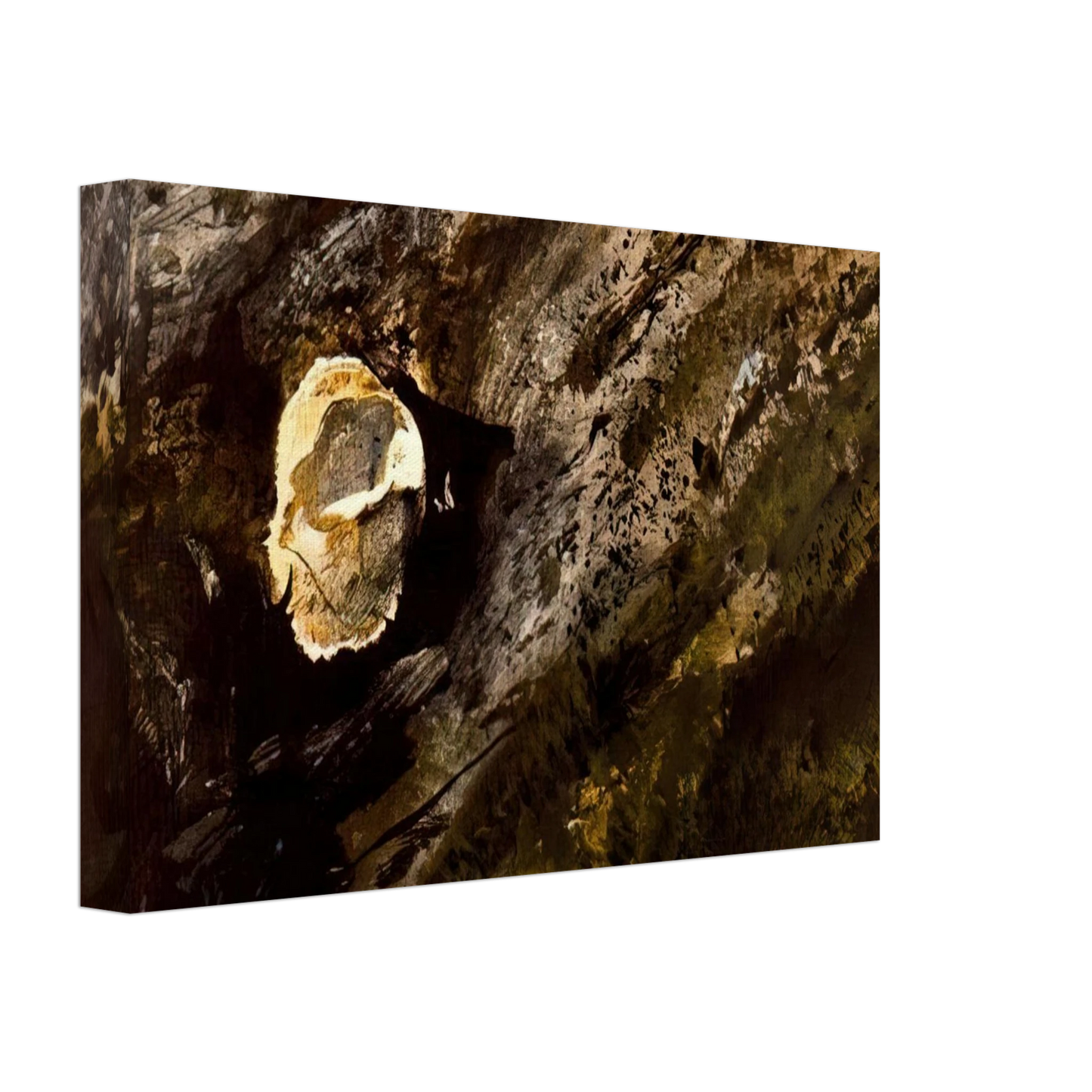 Andrew Wyeth - INLAND SHELL Canvas - 40x60 cm / 16x24 inches-canvas