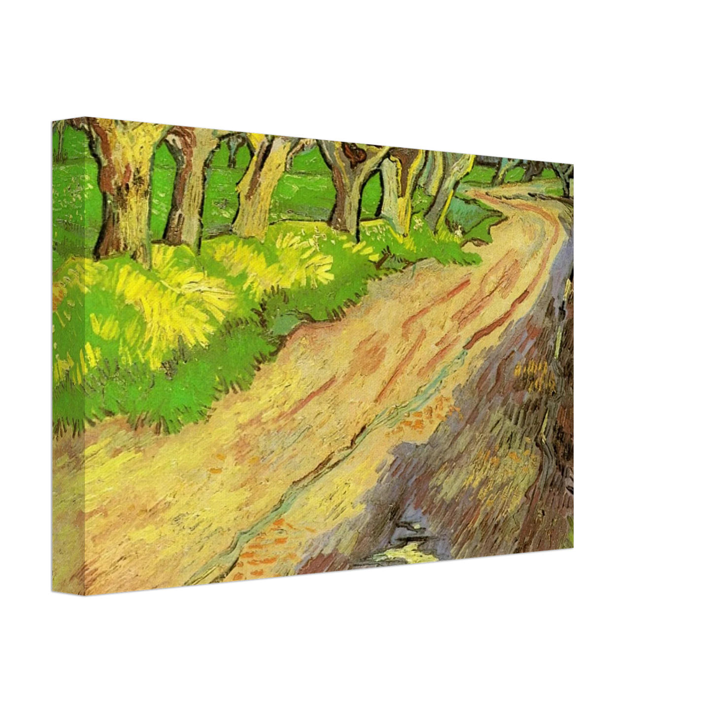 Vincent van Gogh - Pollard Willows Canvas - 70x100 cm / 28x40 inches-canvas