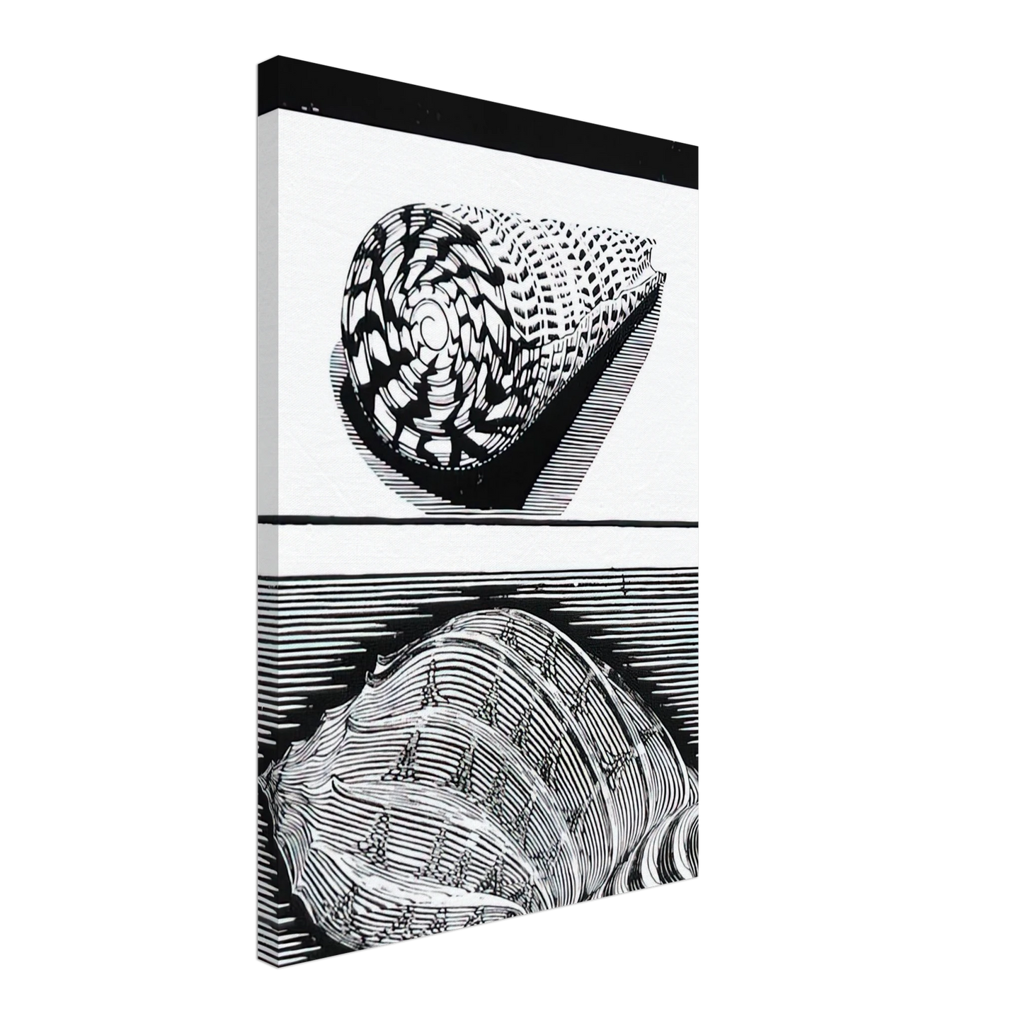 MC Escher - SEA SHELLS Canvas - 40x60 cm / 16x24 inches-canvas