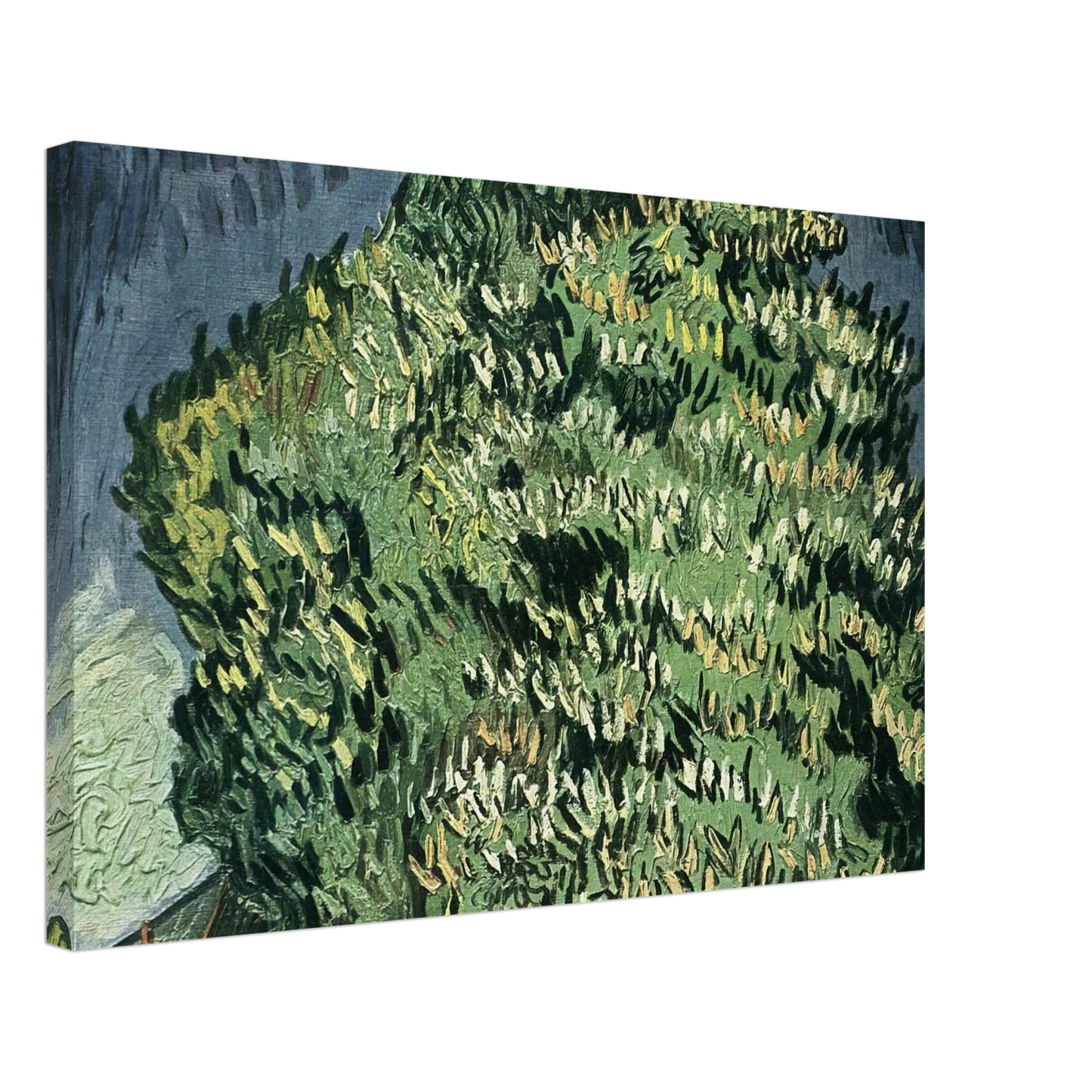 Vincent van Gogh - Chestnut Trees in Blossom Canvas - 40x60 cm / 16x24 inches-canvas