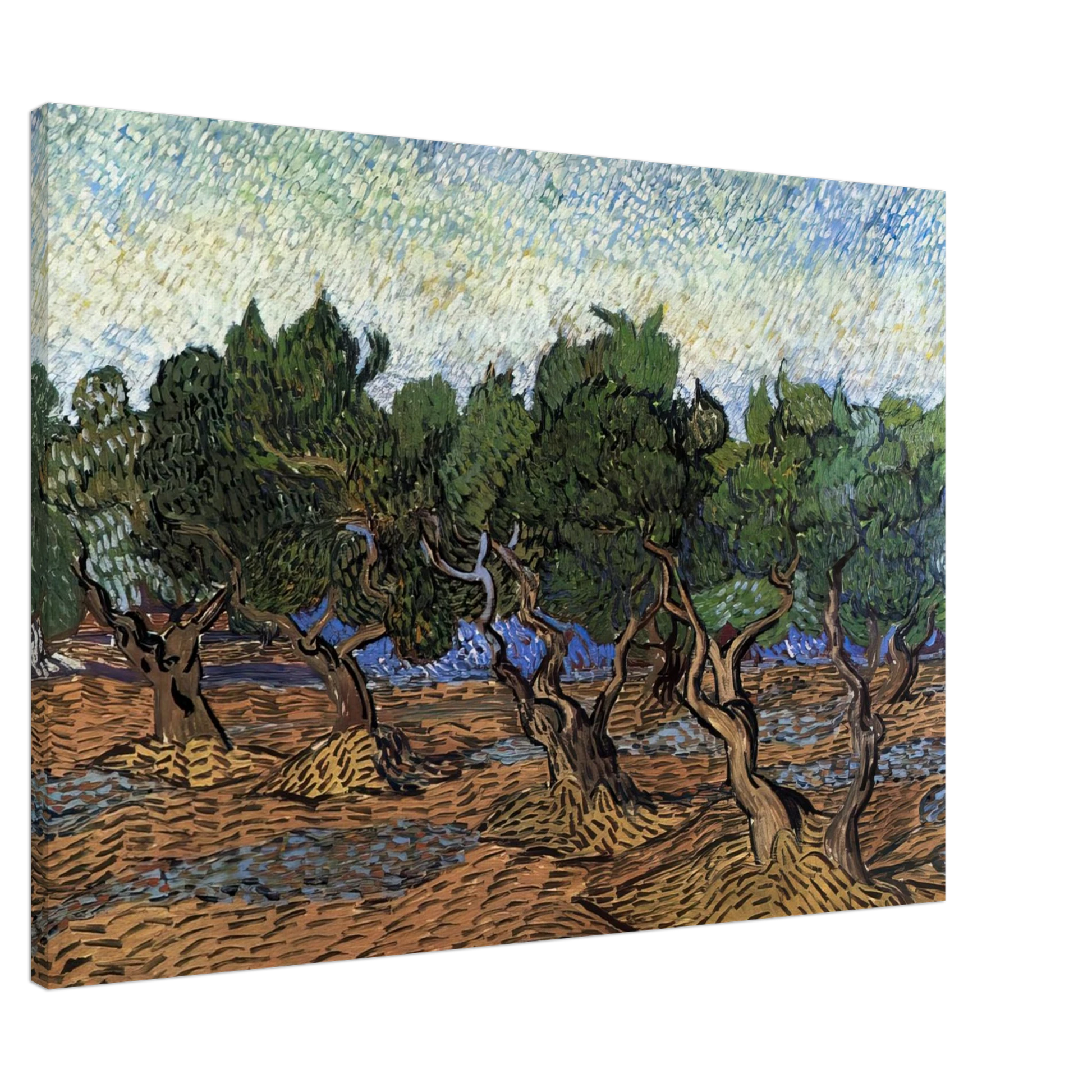 Vincent van Gogh - Olive Grove Canvas - Default Title-canvas
