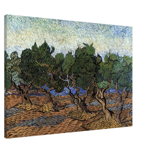 Vincent van Gogh - Olive Grove Canvas - Default Title-canvas