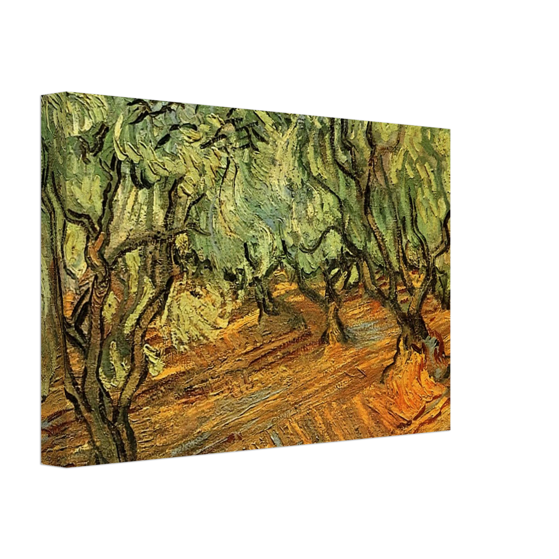 Vincent van Gogh - Olive Grove - Bright Blue Sky Canvas - 70x100 cm / 28x40 inches-canvas