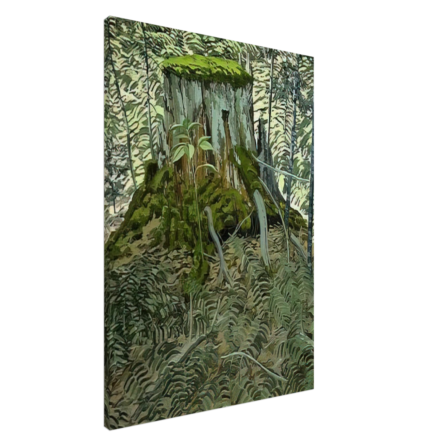 Neil Welliver - Stump and Ferns - Contemporary Realism Canvas - 20x30 cm / 8x12 inches-canvas