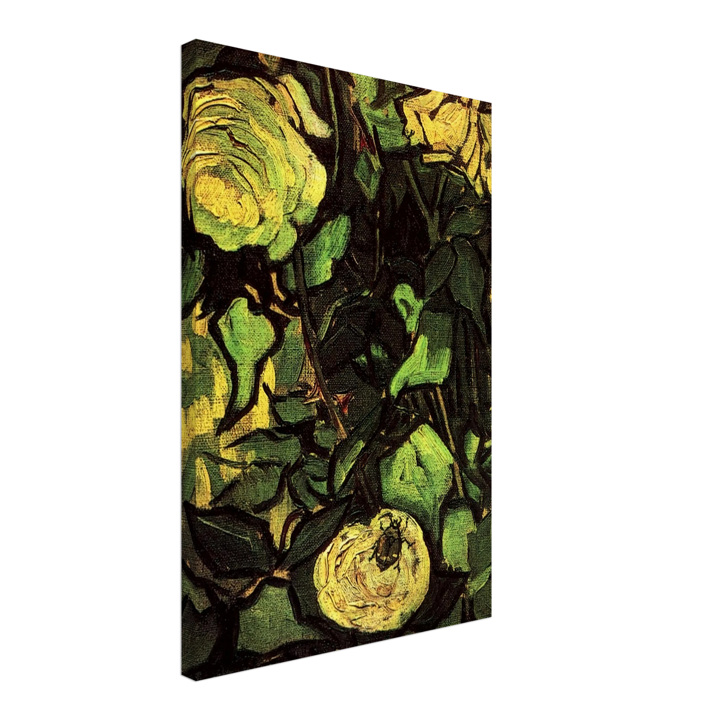 Vincent van Gogh - Roses and Beetle Canvas - 70x100 cm / 28x40 inches-canvas