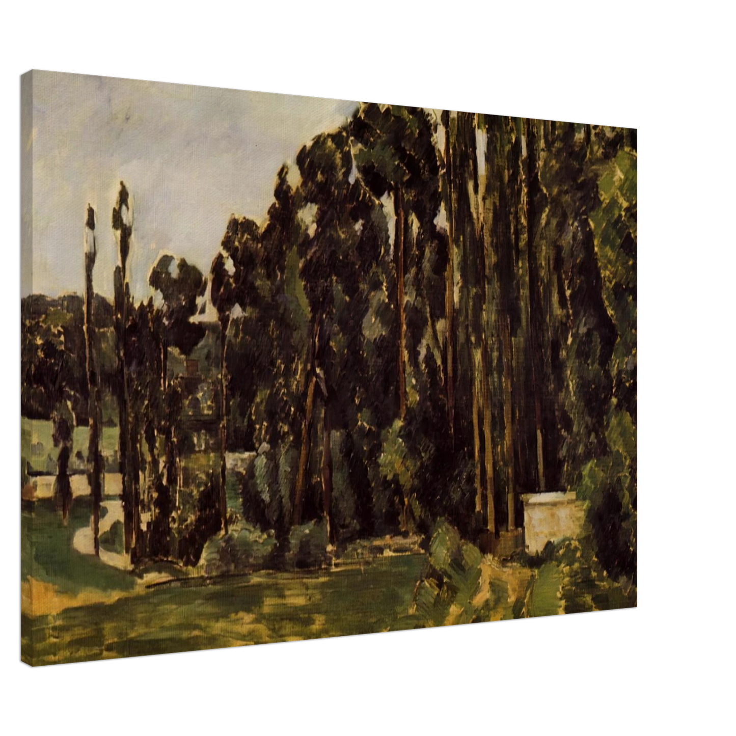 Paul Cezanne - Poplars Canvas - 20x30 cm / 8x12 inches-canvas