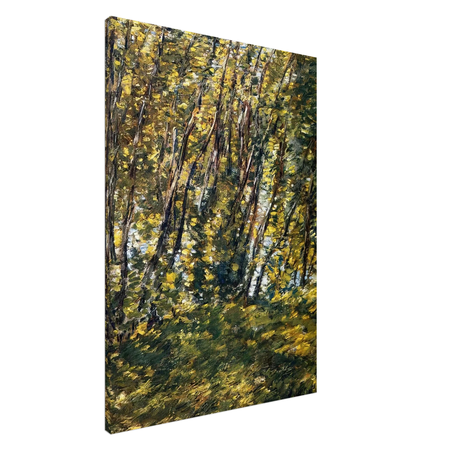 Childe Hassam - Nude in Sunlilt Wood Canvas - 20x30 cm / 8x12 inches-canvas
