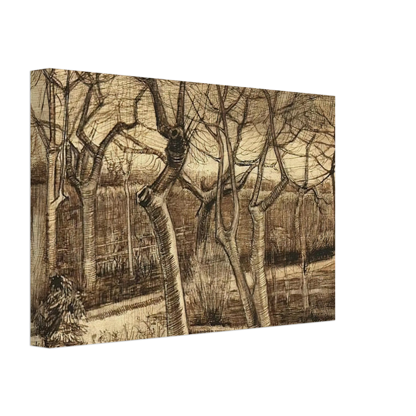 Vincent van Gogh - The Vicarage Garden Canvas - 40x60 cm / 16x24 inches-canvas