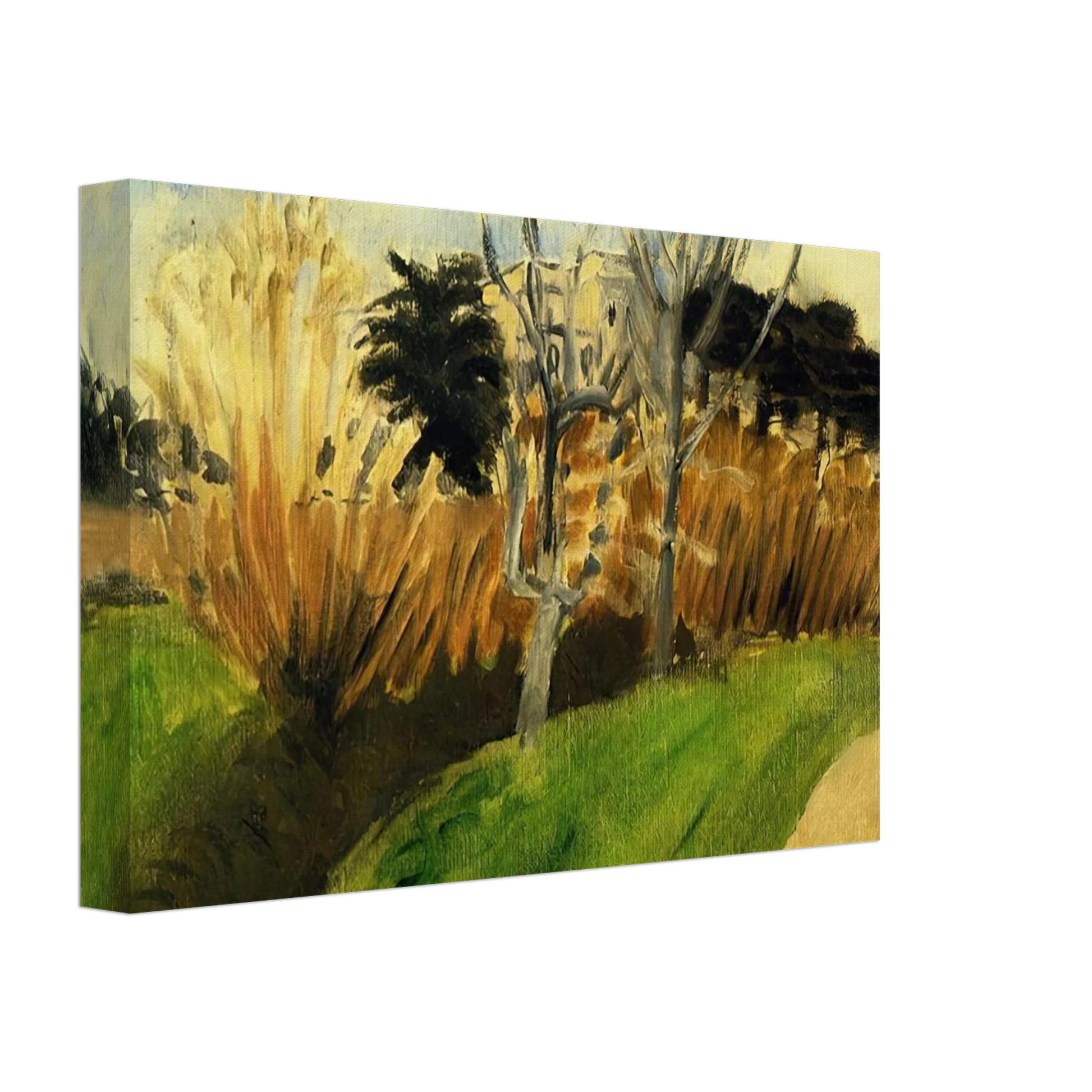 Henri Matisse - THE STREAM NEAR NICE Canvas - 70x100 cm / 28x40 inches-canvas