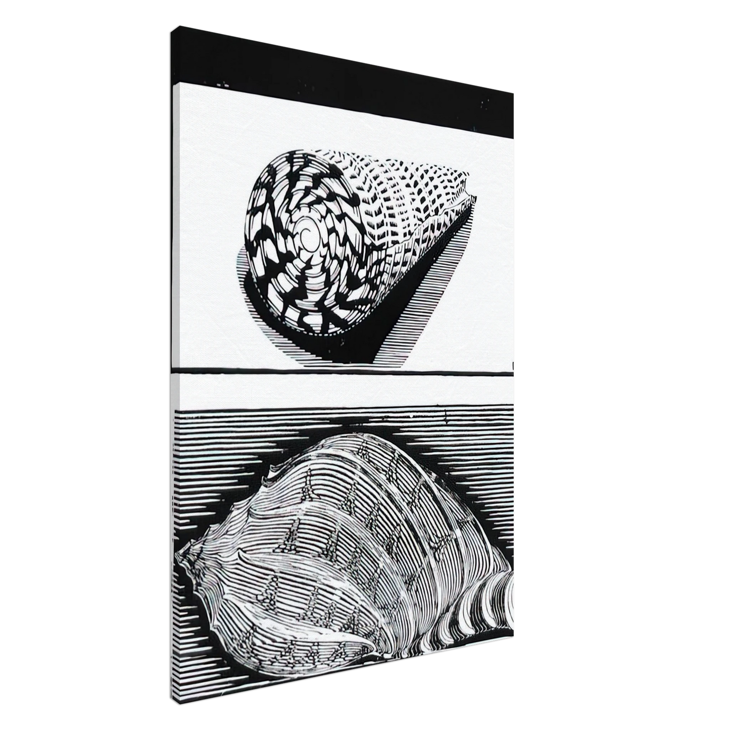 MC Escher - SEA SHELLS Canvas - 20x30 cm / 8x12 inches-canvas