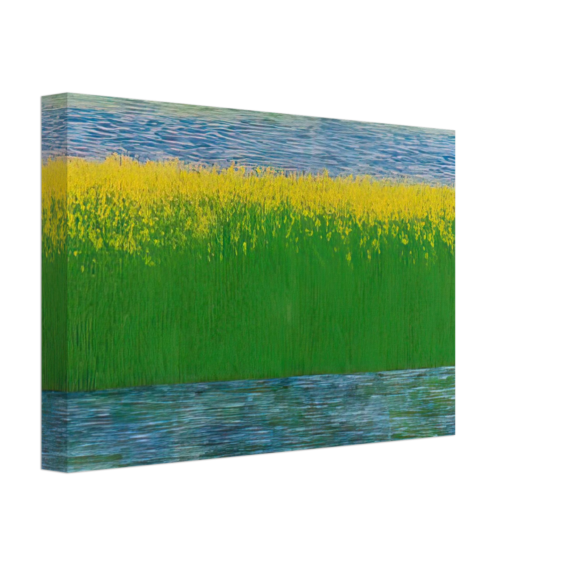Jimmy Ernst - Sea of Grass - 1983 Canvas - 40x60 cm / 16x24 inches-canvas