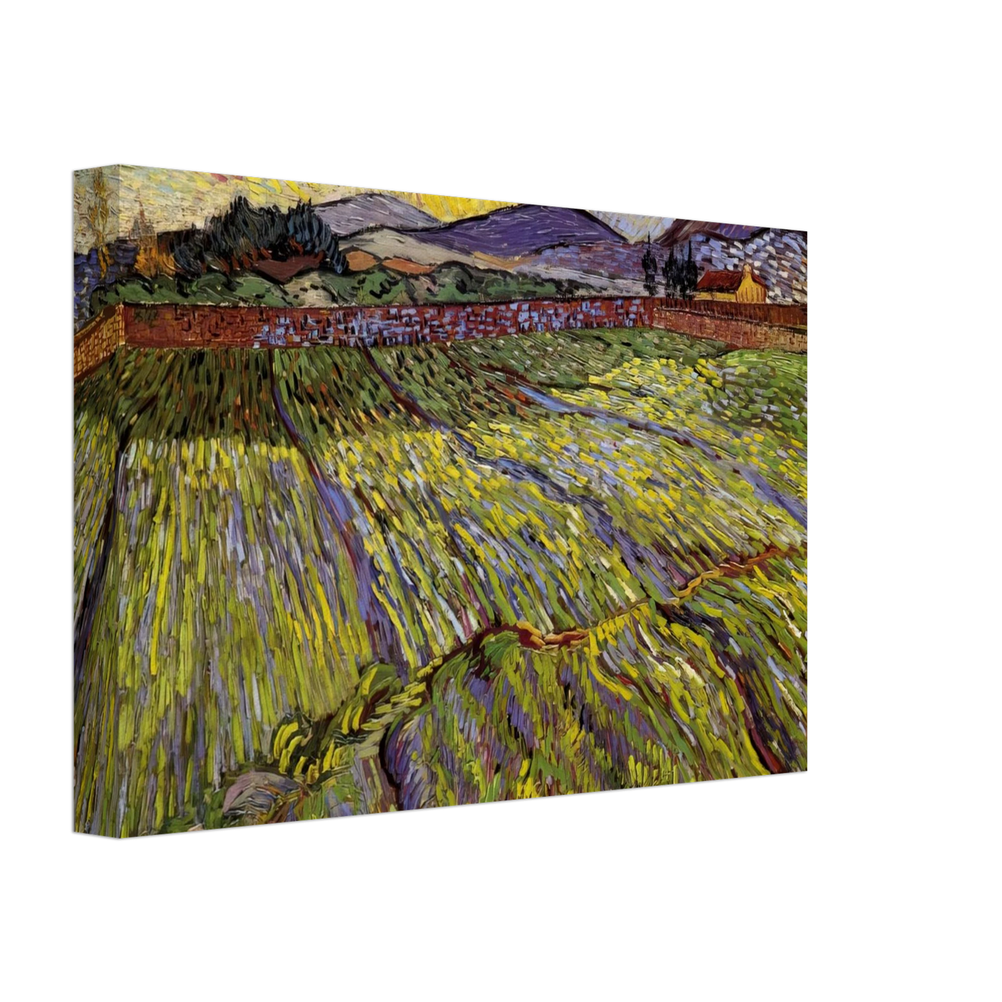 Vincent van Gogh - Enclosed field with rising sun Canvas - 70x100 cm / 28x40 inches-canvas