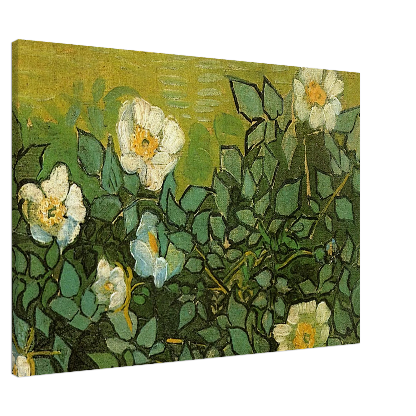 Vincent van Gogh - Wild Roses Canvas - 20x30 cm / 8x12 inches-canvas