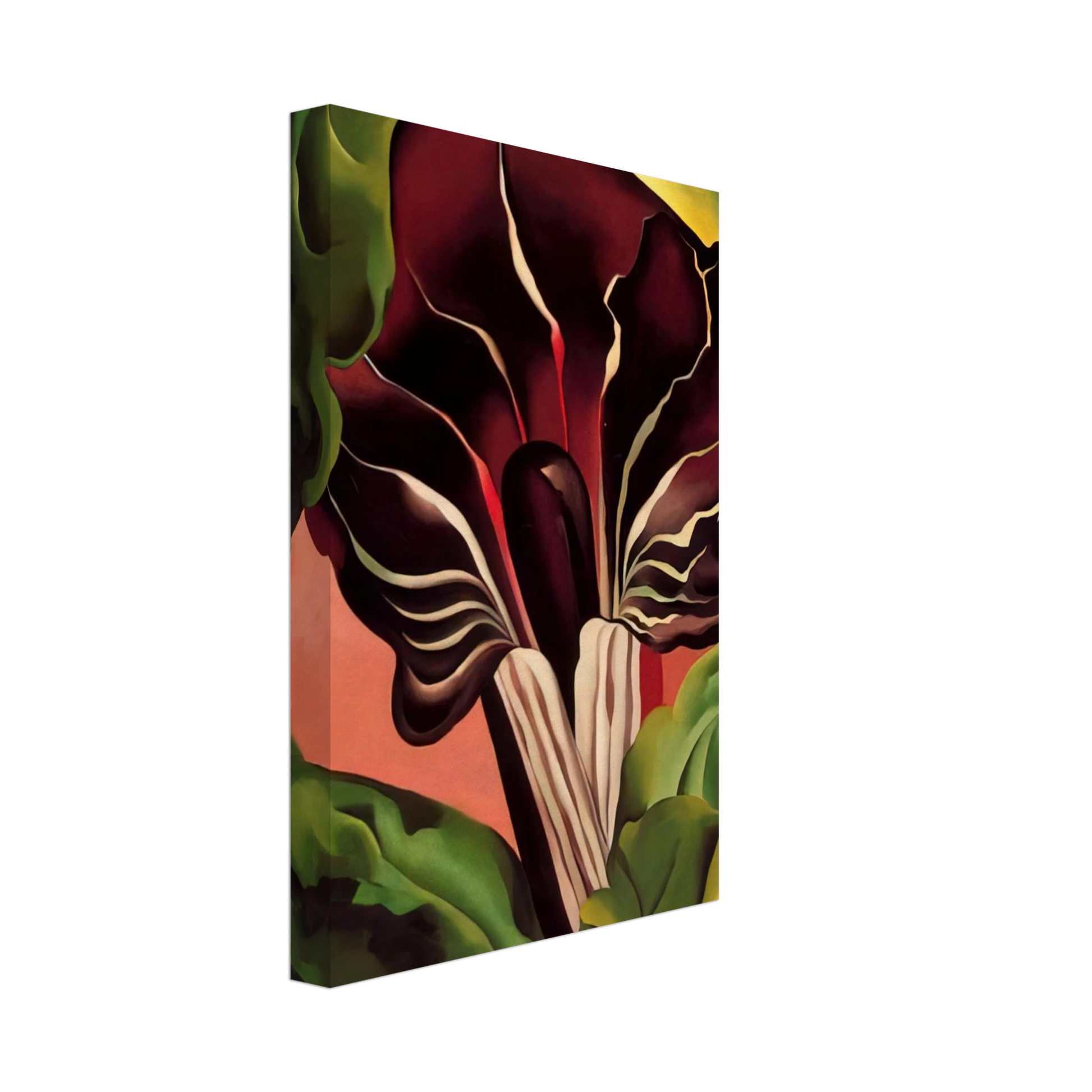 Georgia O'Keeffe - Jack-in-the-Pulpit II Canvas - 70x100 cm / 28x40 inches-canvas
