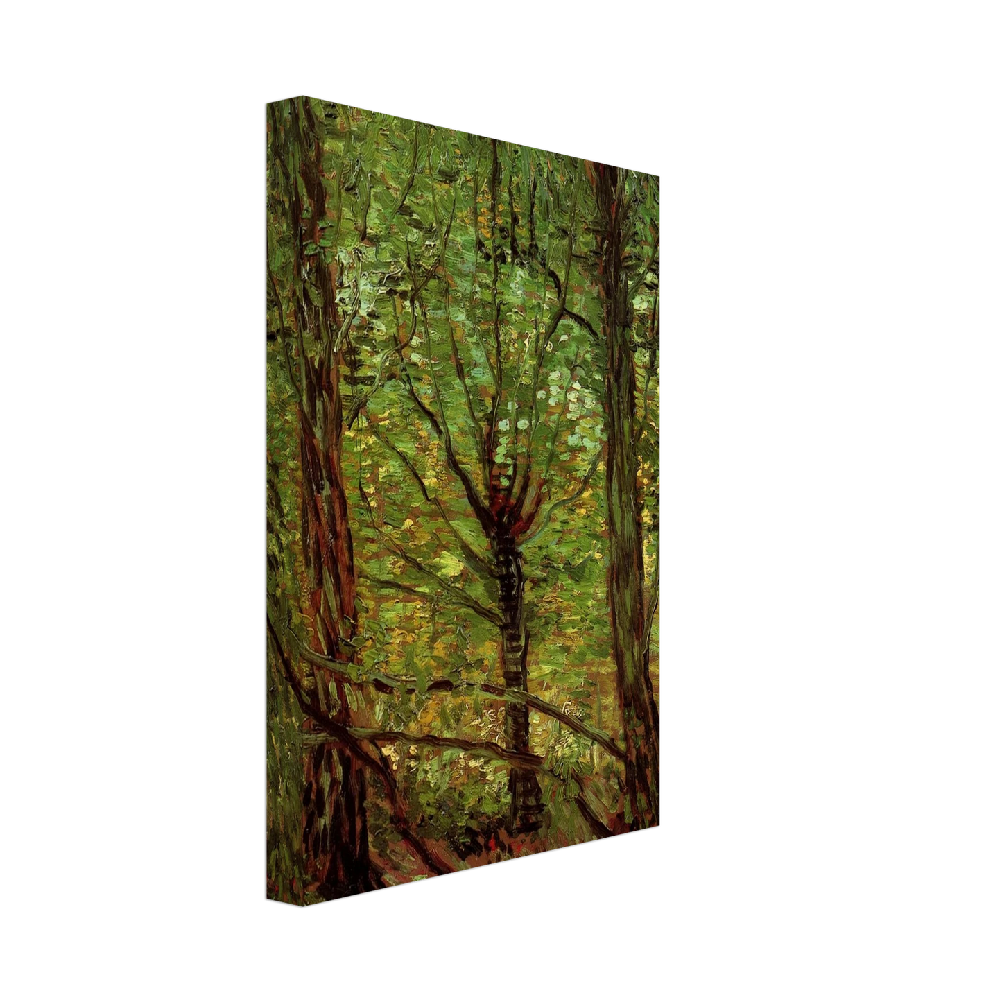 Vincent van Gogh - Trees and Undergrowth Canvas - 40x60 cm / 16x24 inches-canvas