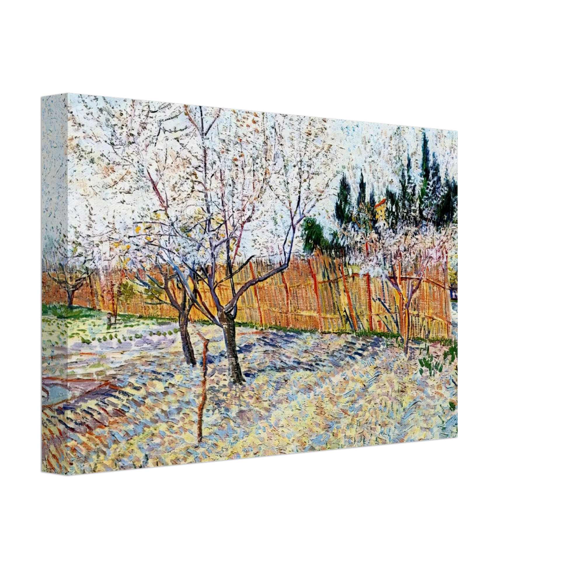 Vincent van Gogh - Orchard with Peach Trees in Blossom Canvas - 70x100 cm / 28x40 inches-canvas