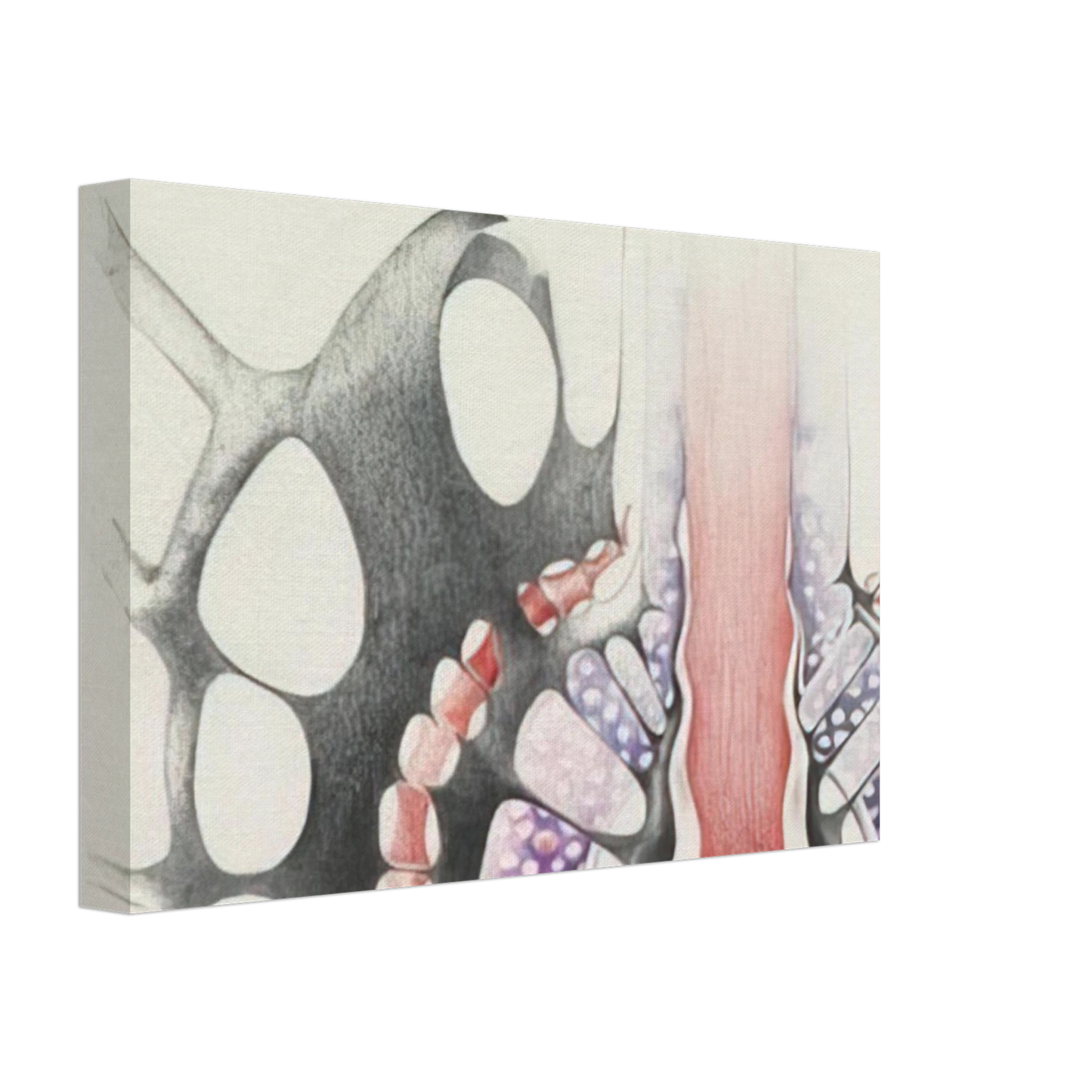 Lee Bontecou - UNTITLED 1967 1 Canvas - 70x100 cm / 28x40 inches-canvas