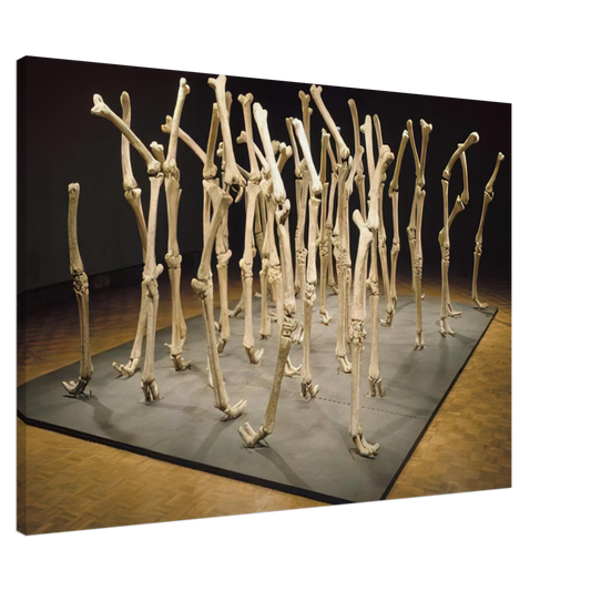 Nancy Graves - VARIABILITY OF SIMILAR FORMS 1970 Canvas - 20x30 cm / 8x12 inches-canvas