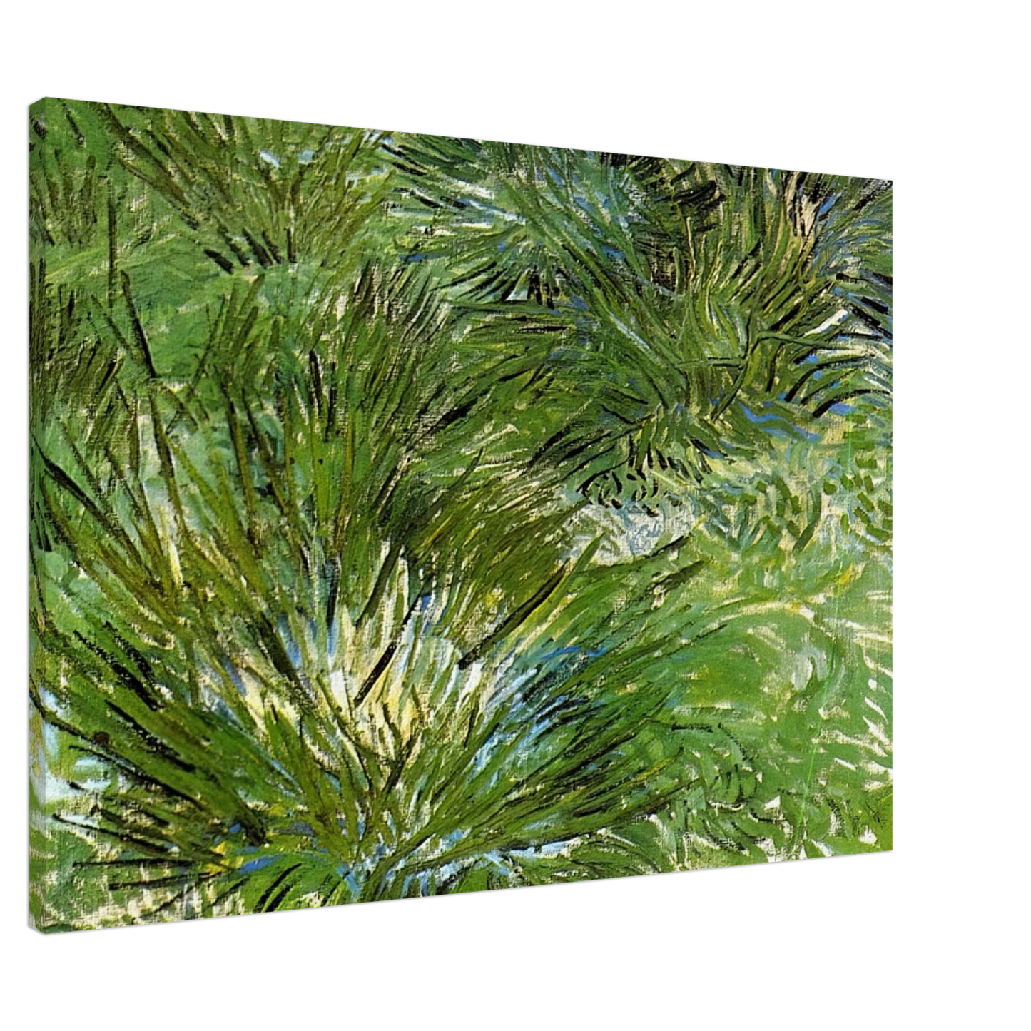 Vincent van Gogh - Clumps of Grass Canvas - 20x30 cm / 8x12 inches-canvas