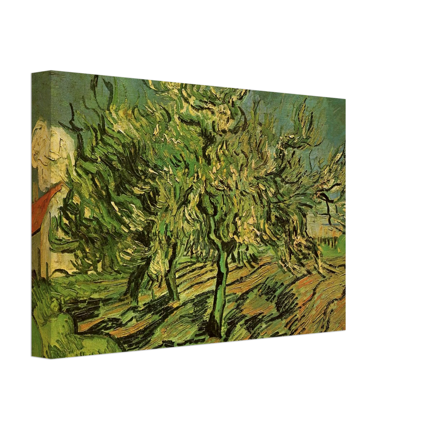 Vincent van Gogh - Landscape with Three Trees and a House Canvas - 70x100 cm / 28x40 inches-canvas