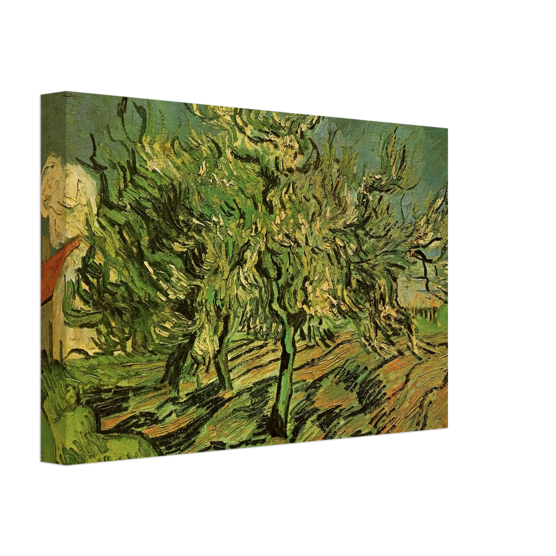Vincent van Gogh - Landscape with Three Trees and a House Canvas - 70x100 cm / 28x40 inches-canvas