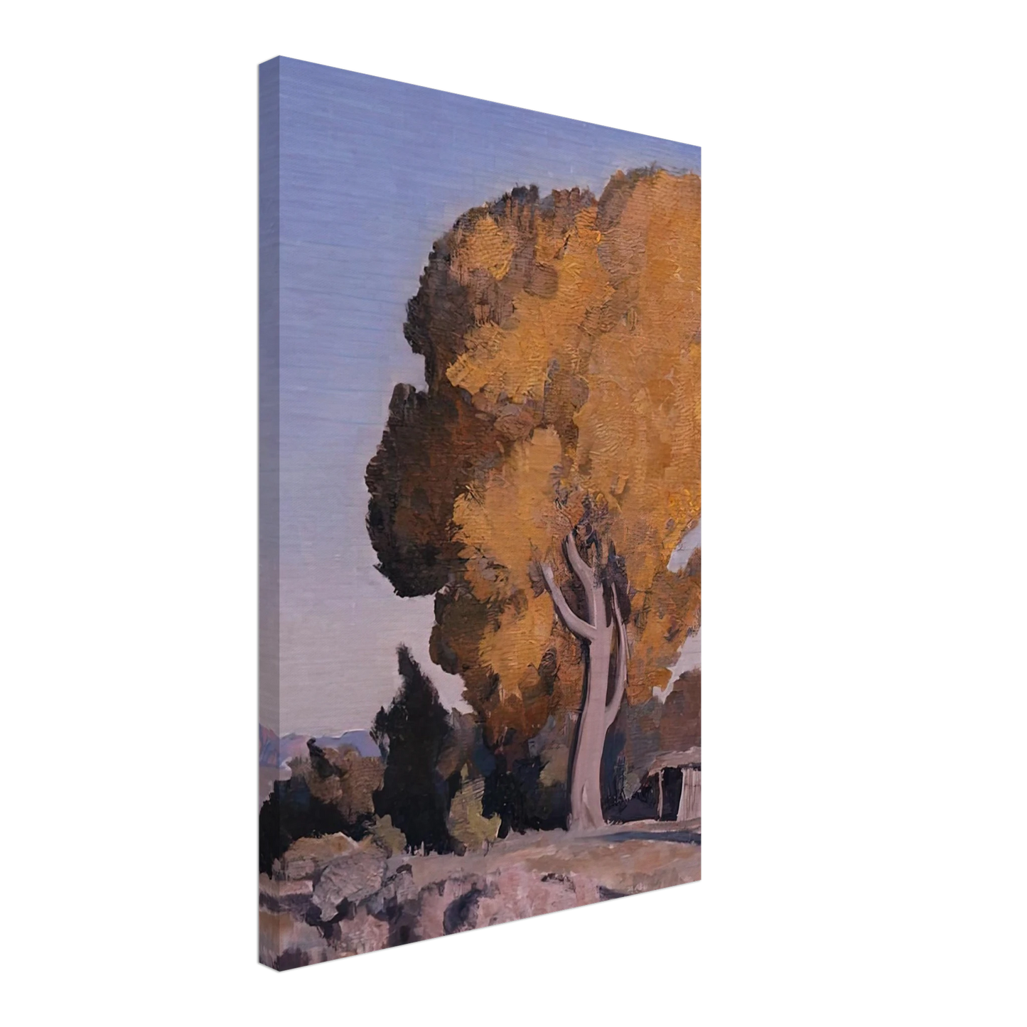 Maynard Dixon - LOW COUNTRY COTTONWOOD 1940 Canvas - 70x100 cm / 28x40 inches-canvas