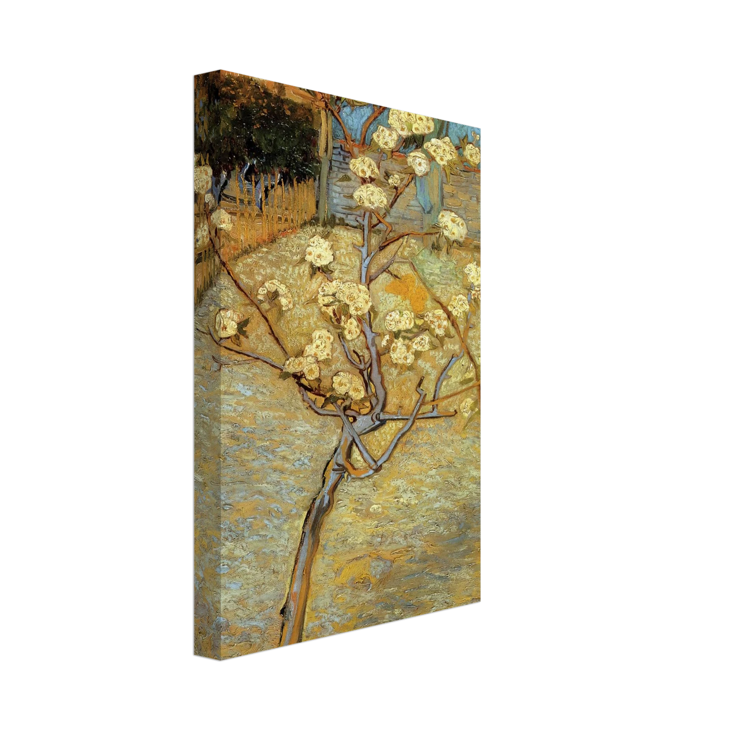 Vincent van Gogh - Pear Tree in Blossom Canvas - 40x60 cm / 16x24 inches-canvas