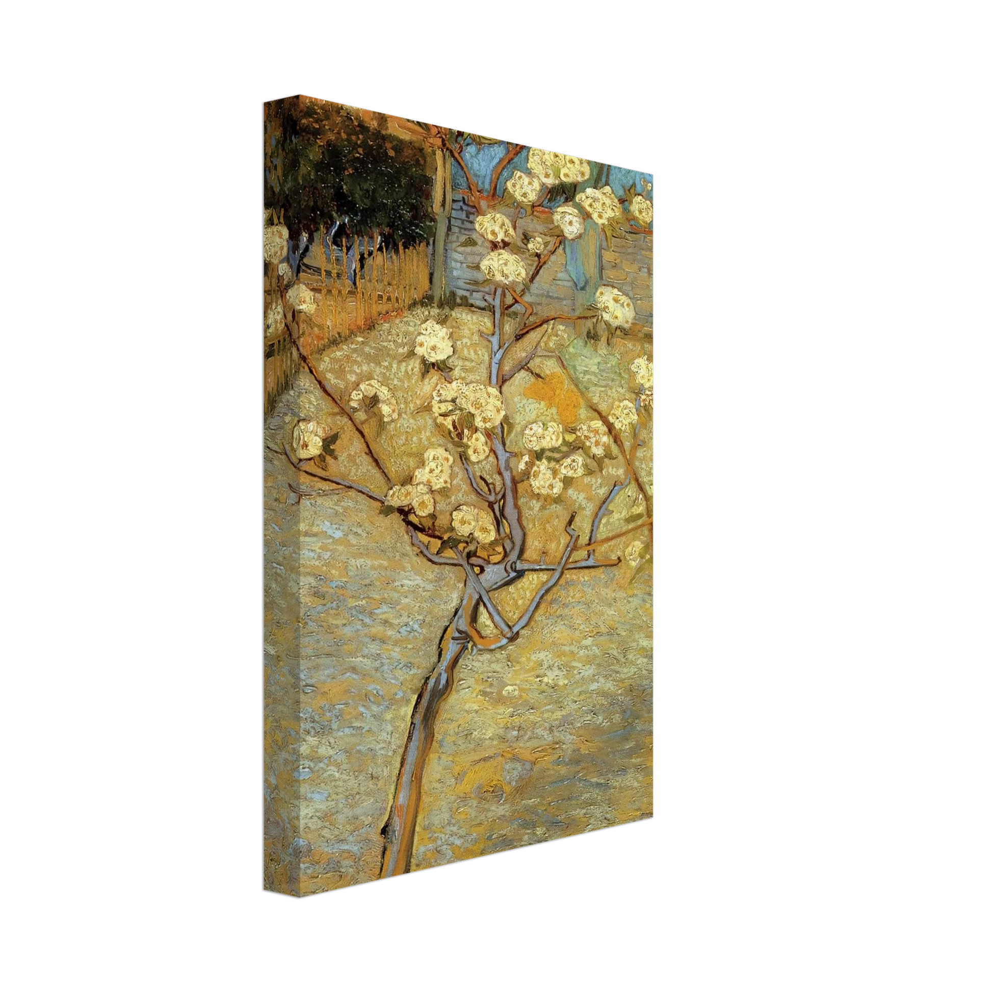 Vincent van Gogh - Pear Tree in Blossom Canvas - 40x60 cm / 16x24 inches-canvas