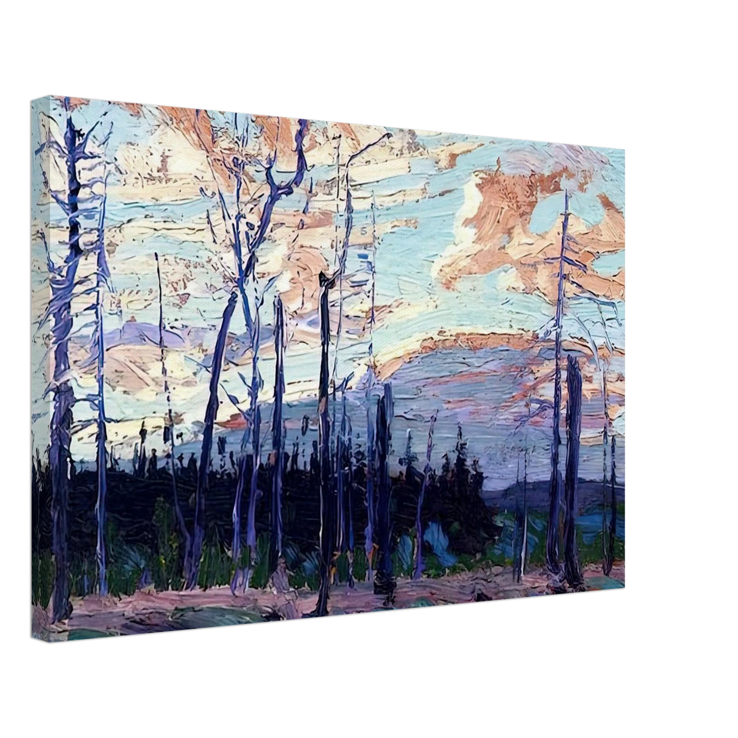 Tom Thomson - BURNT LAND AT SUNSET 1915 Canvas - 70x100 cm / 28x40 inches-canvas