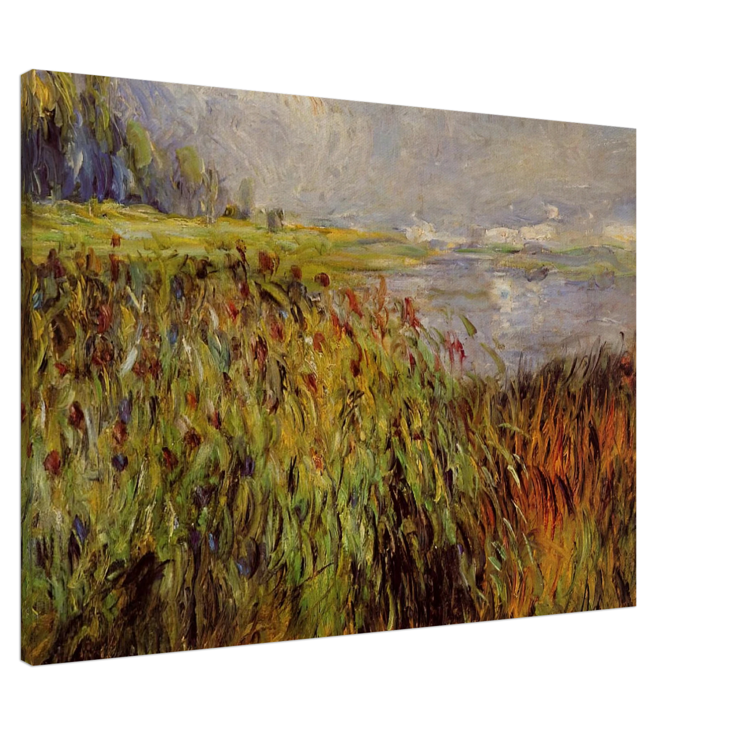 Pierre-Auguste Renoir - Bulrushes on the Banks of the Seine Canvas - 20x30 cm / 8x12 inches-canvas