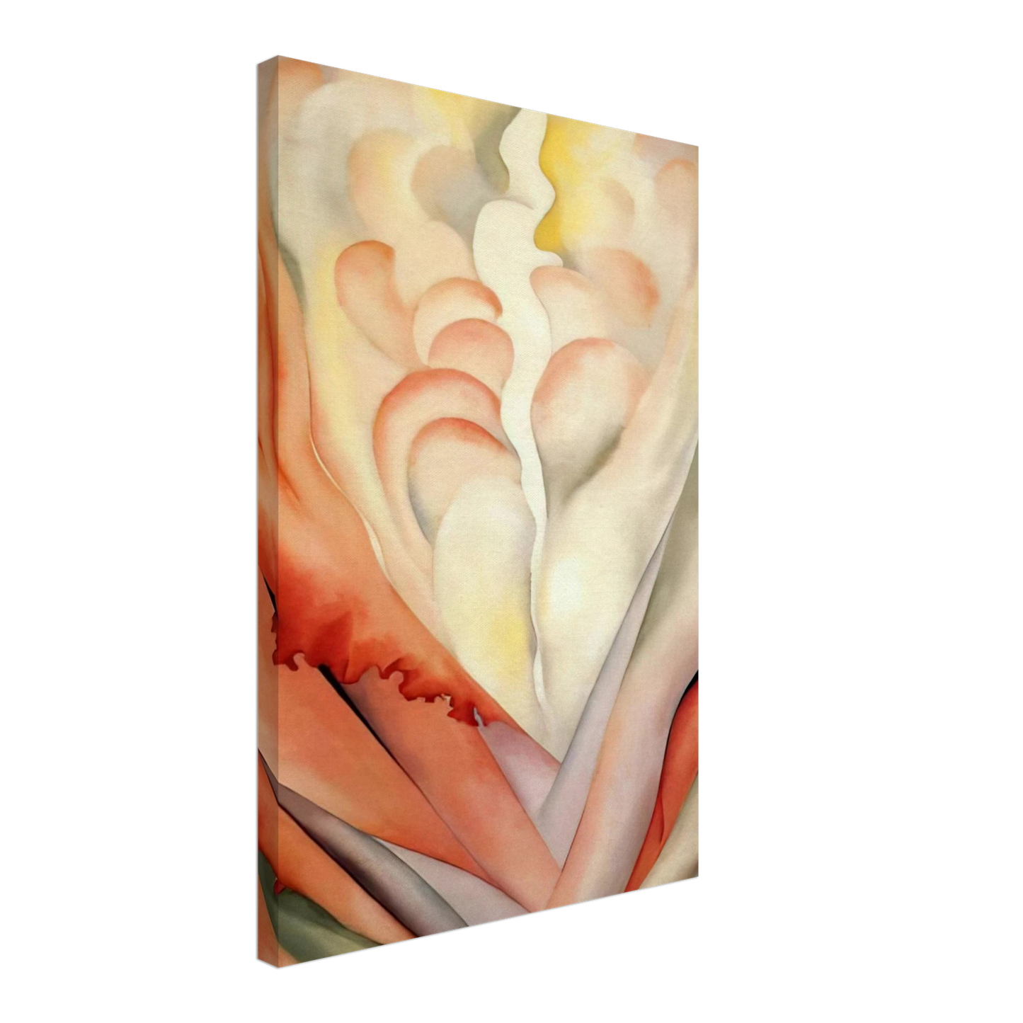 Georgia O'Keeffe - Flower Abstraction Canvas - 70x100 cm / 28x40 inches-canvas