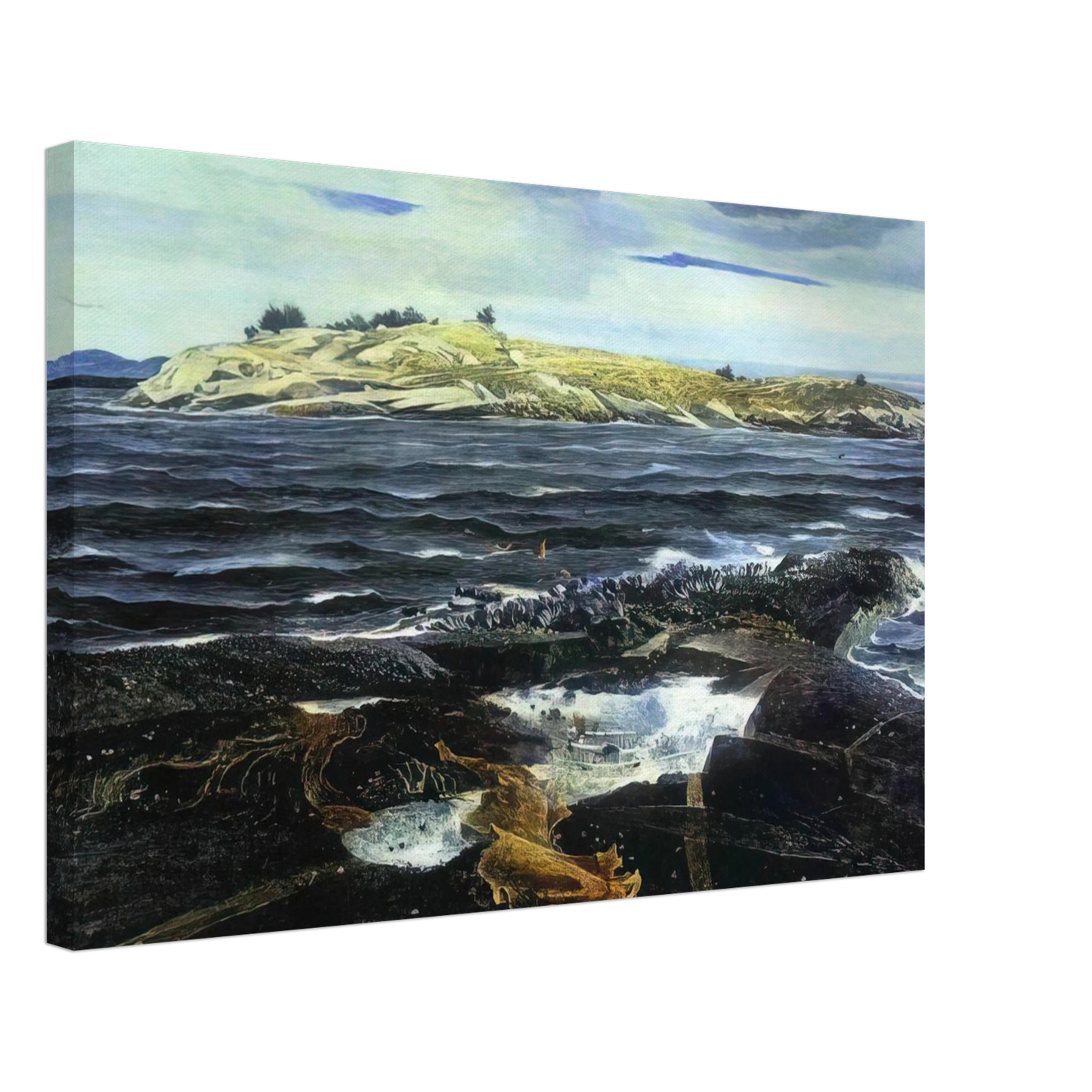 Andrew Wyeth - LITTLE CALDWELLS ISLAND Canvas - 70x100 cm / 28x40 inches-canvas