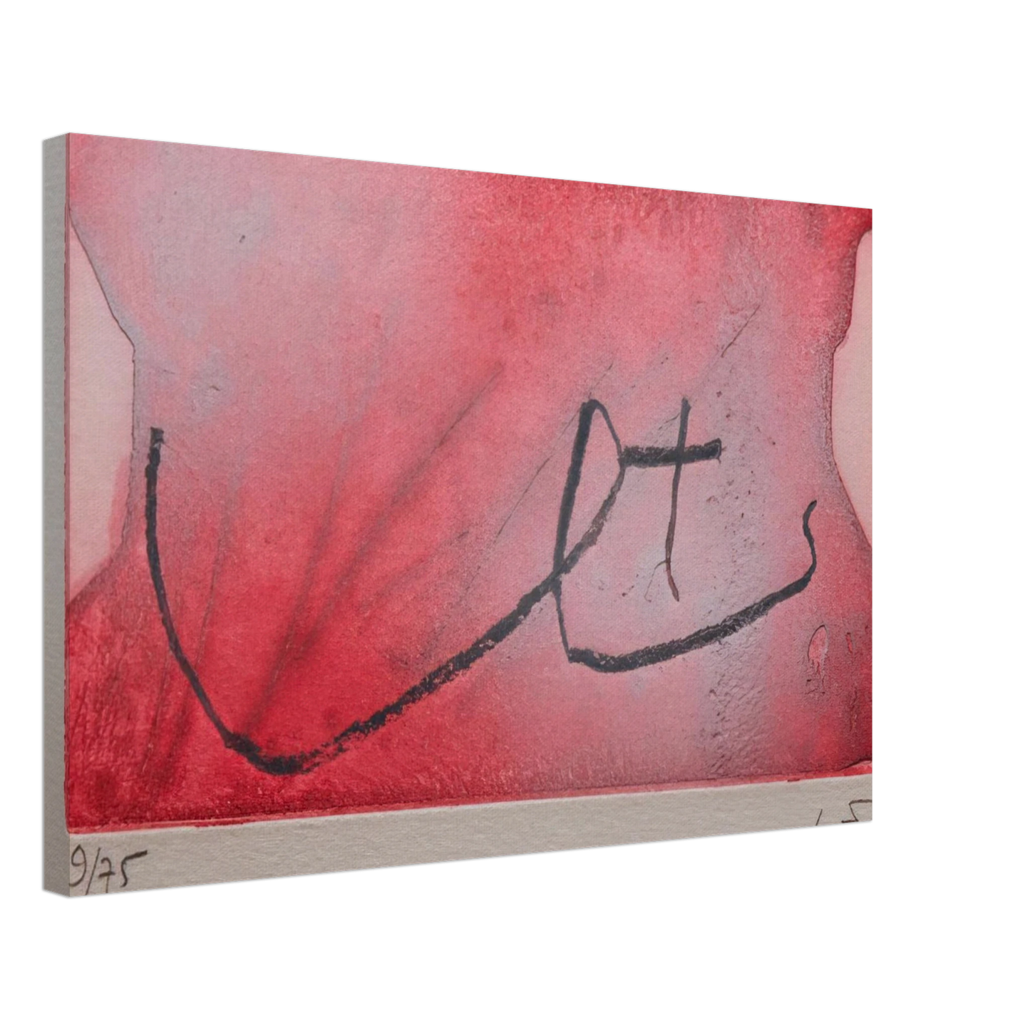 Antoni Tapies - SEINS 1984 Canvas - 40x60 cm / 16x24 inches-canvas