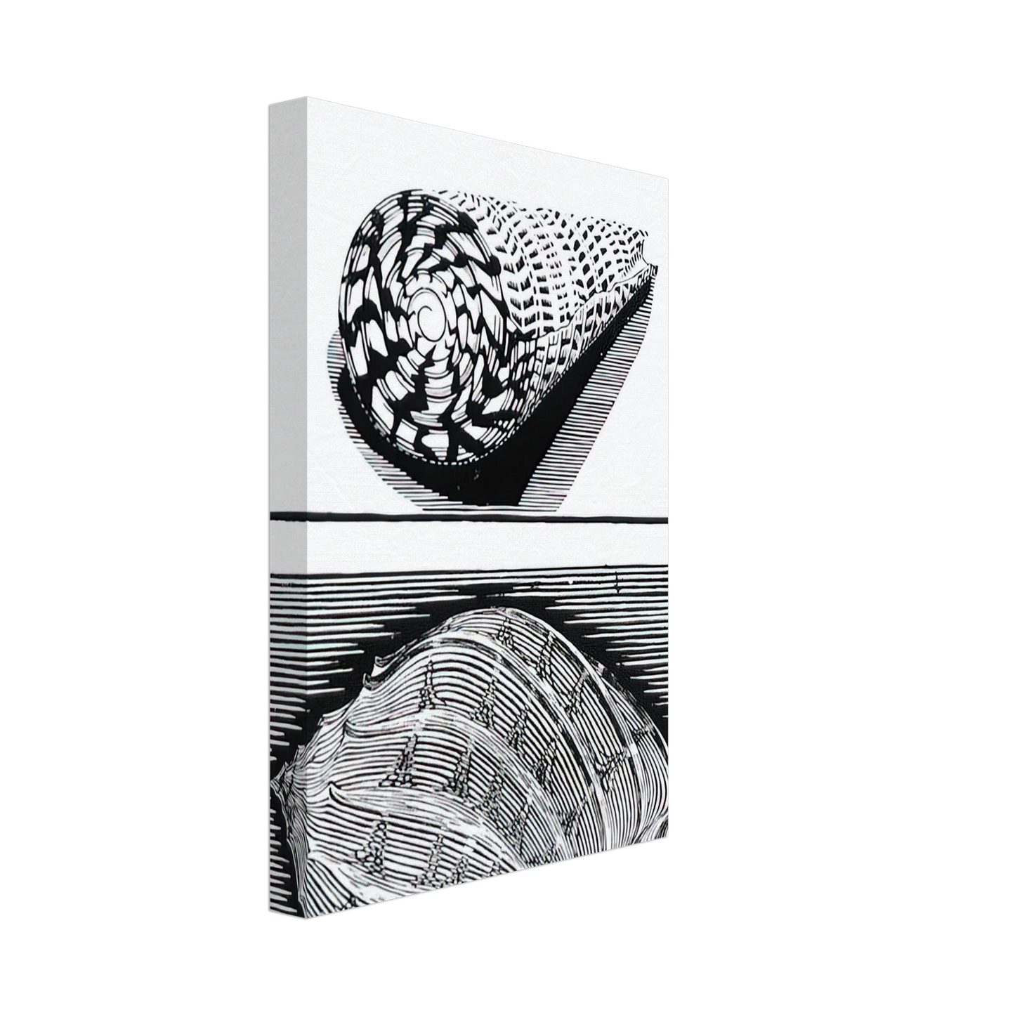 MC Escher - SEA SHELLS Canvas - 70x100 cm / 28x40 inches-canvas