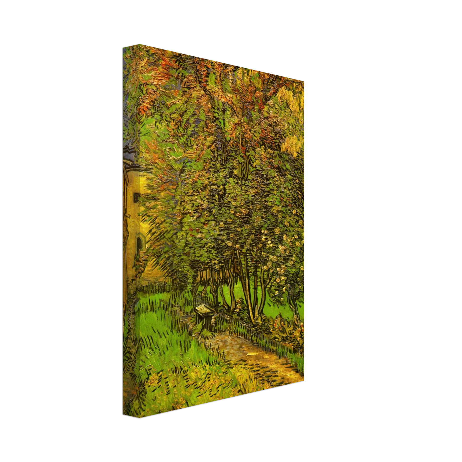 Vincent van Gogh - The Garden of Saint-Paul Hospital Canvas - 40x60 cm / 16x24 inches-canvas