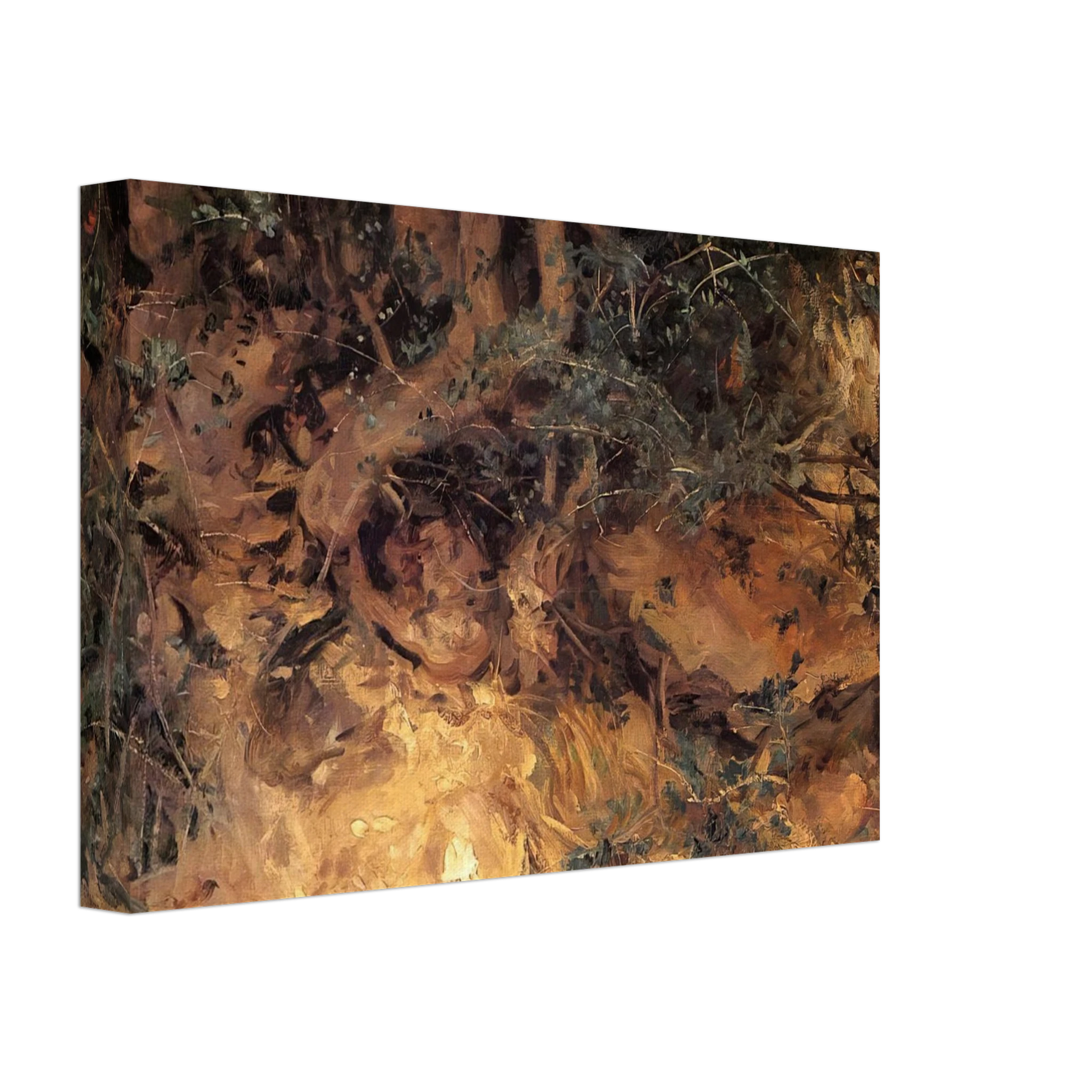 John Singer Sargent - Valdemosa, Majorca Thistles and Herbage on a Hillside Canvas - 70x100 cm / 28x40 inches-canvas