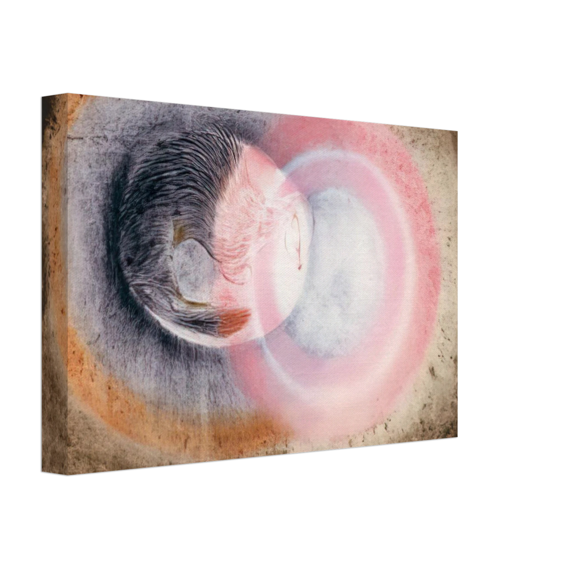 Morris Graves - Hibernation - 1954 Canvas - 70x100 cm / 28x40 inches-canvas