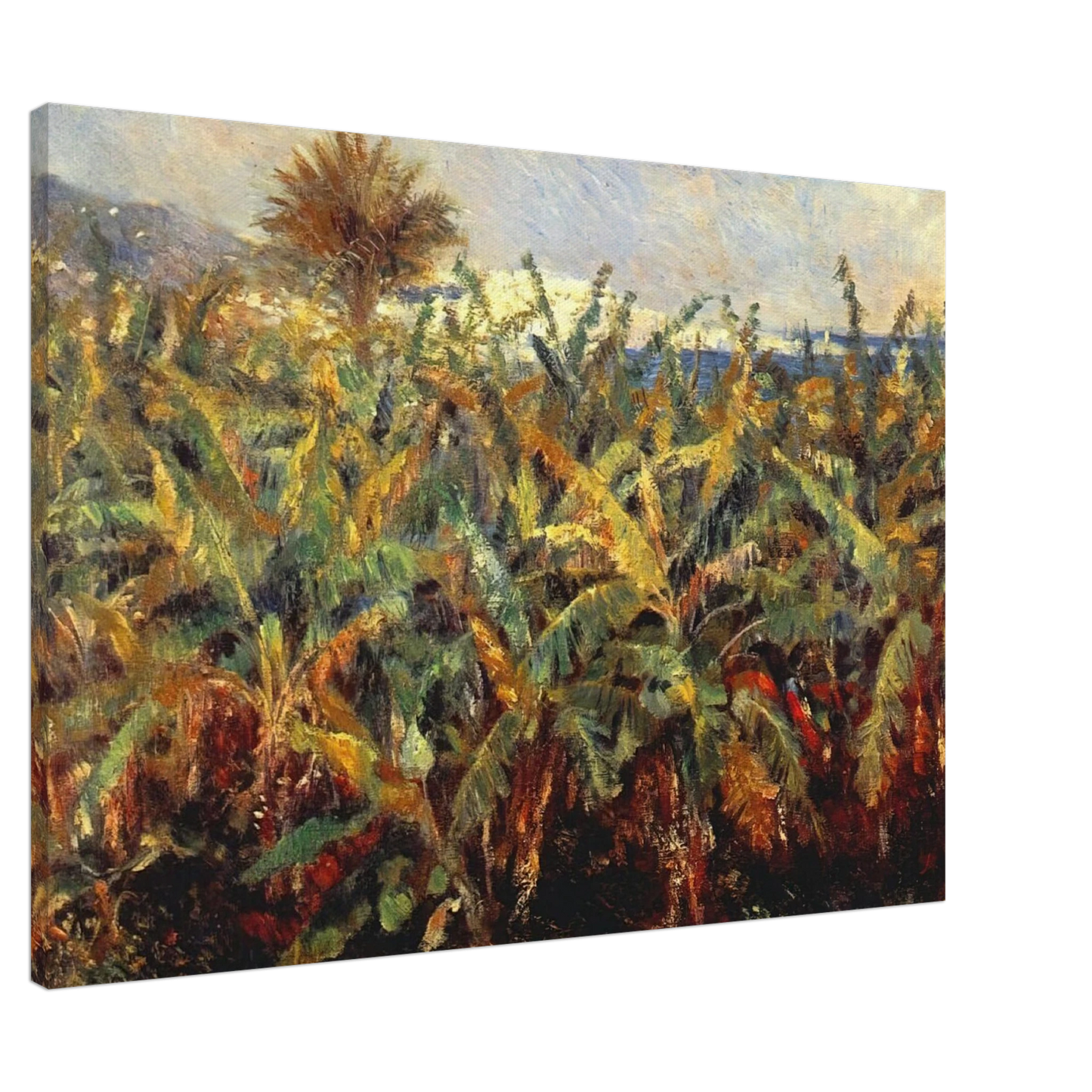 Pierre-Auguste Renoir - Field of Banana Trees Canvas - 20x30 cm / 8x12 inches-canvas