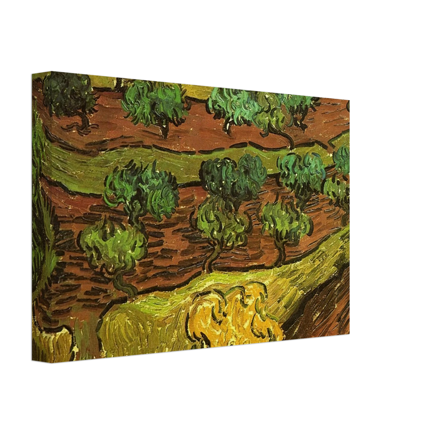 Vincent van Gogh - Olive Trees against a Slope of a Hill Canvas - 40x60 cm / 16x24 inches-canvas