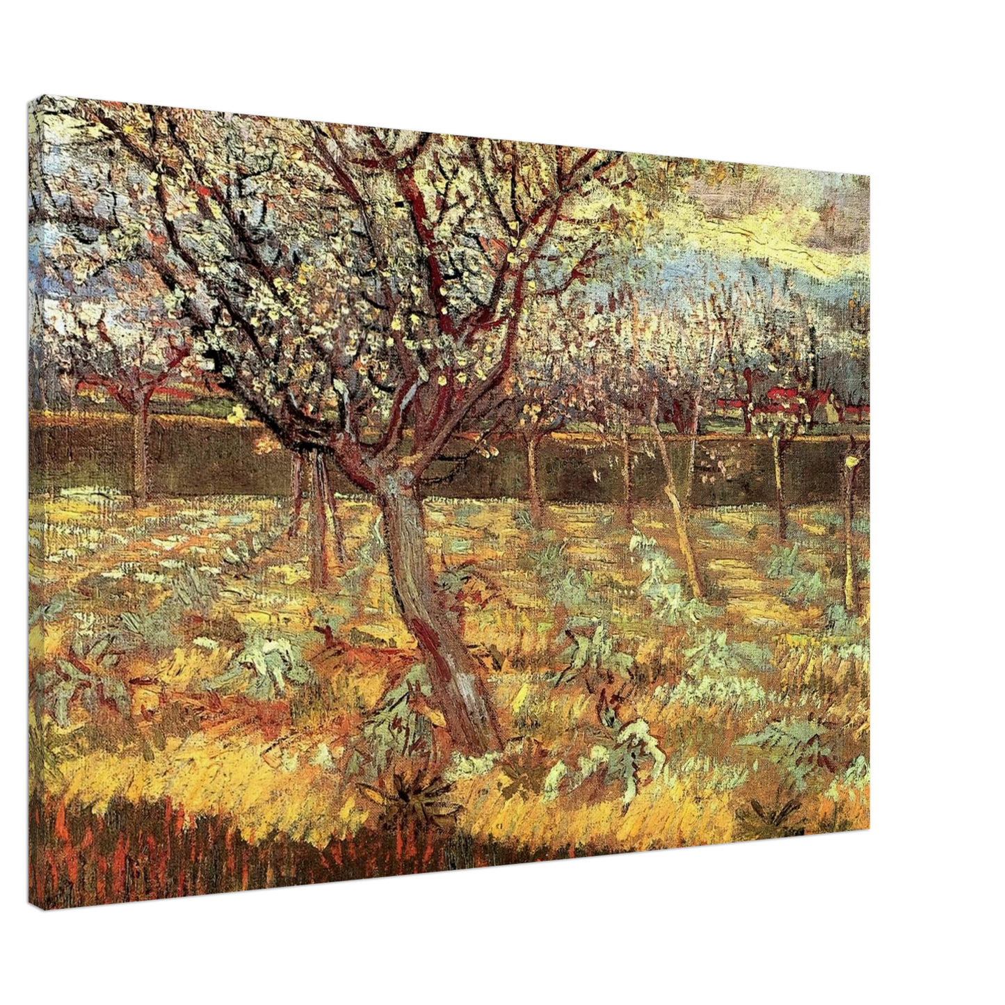 Vincent van Gogh - Apricot Trees in Blossom Canvas - 20x30 cm / 8x12 inches-canvas