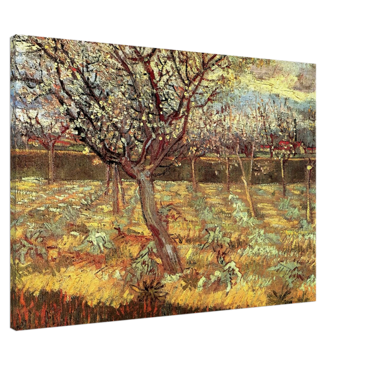 Vincent van Gogh - Apricot Trees in Blossom Canvas - 20x30 cm / 8x12 inches-canvas