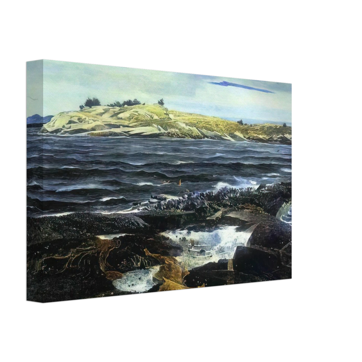 Andrew Wyeth - LITTLE CALDWELLS ISLAND Canvas - 40x60 cm / 16x24 inches-canvas