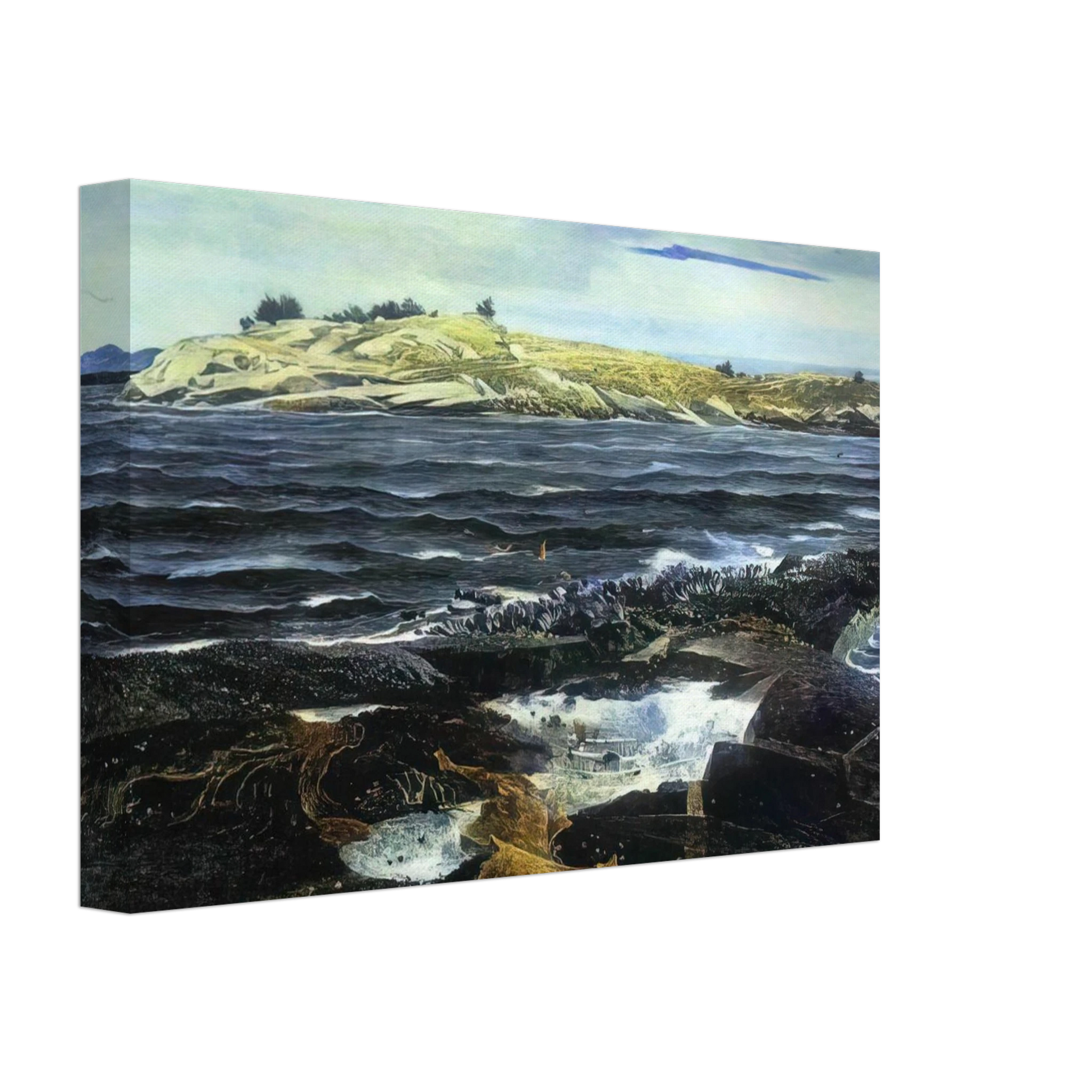 Andrew Wyeth - LITTLE CALDWELLS ISLAND Canvas - 40x60 cm / 16x24 inches-canvas