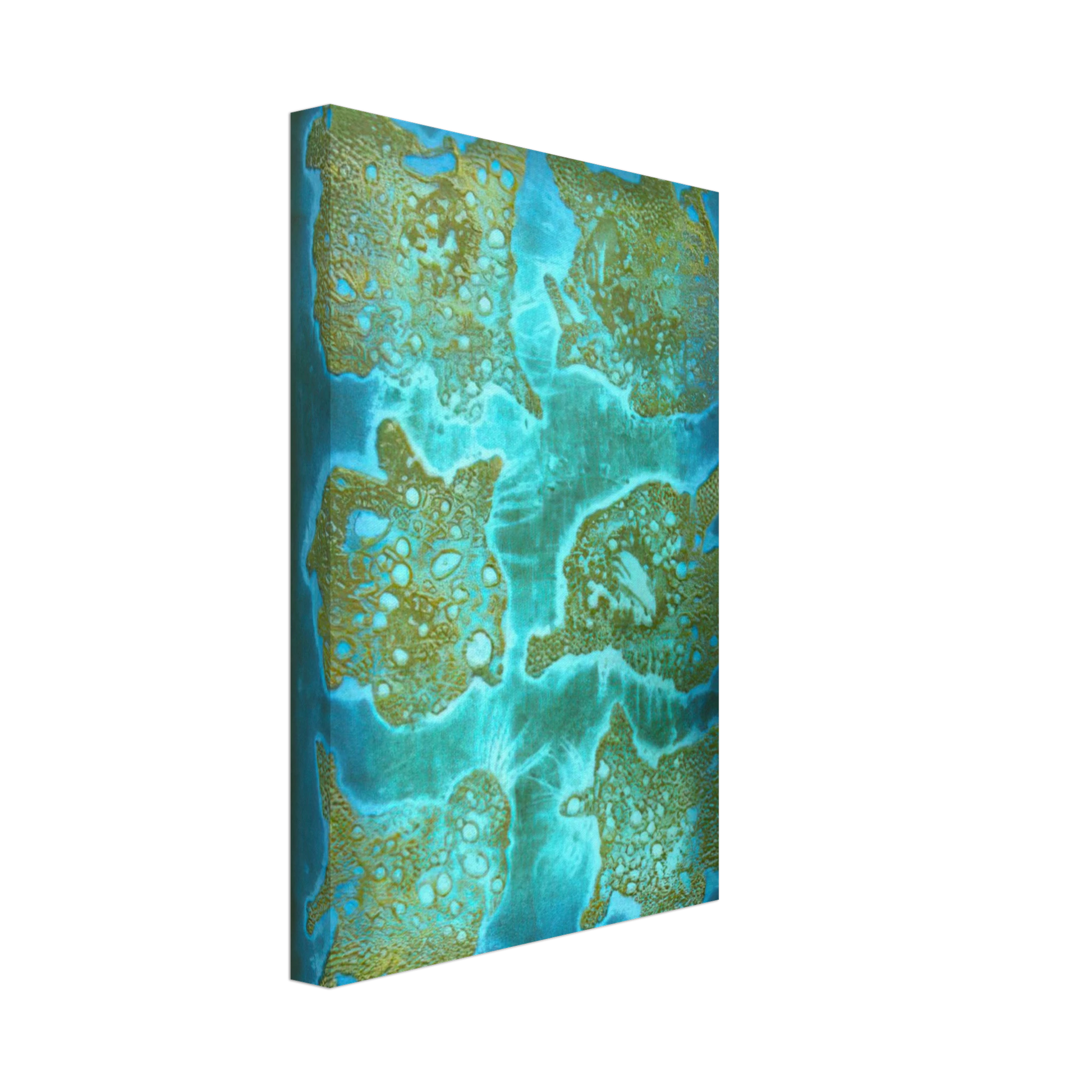 Hiroyuki Tajima - Dried Flowers - 1964 Canvas - 70x100 cm / 28x40 inches-canvas