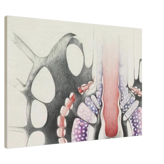 Lee Bontecou - UNTITLED 1967 1 Canvas - 20x30 cm / 8x12 inches-canvas